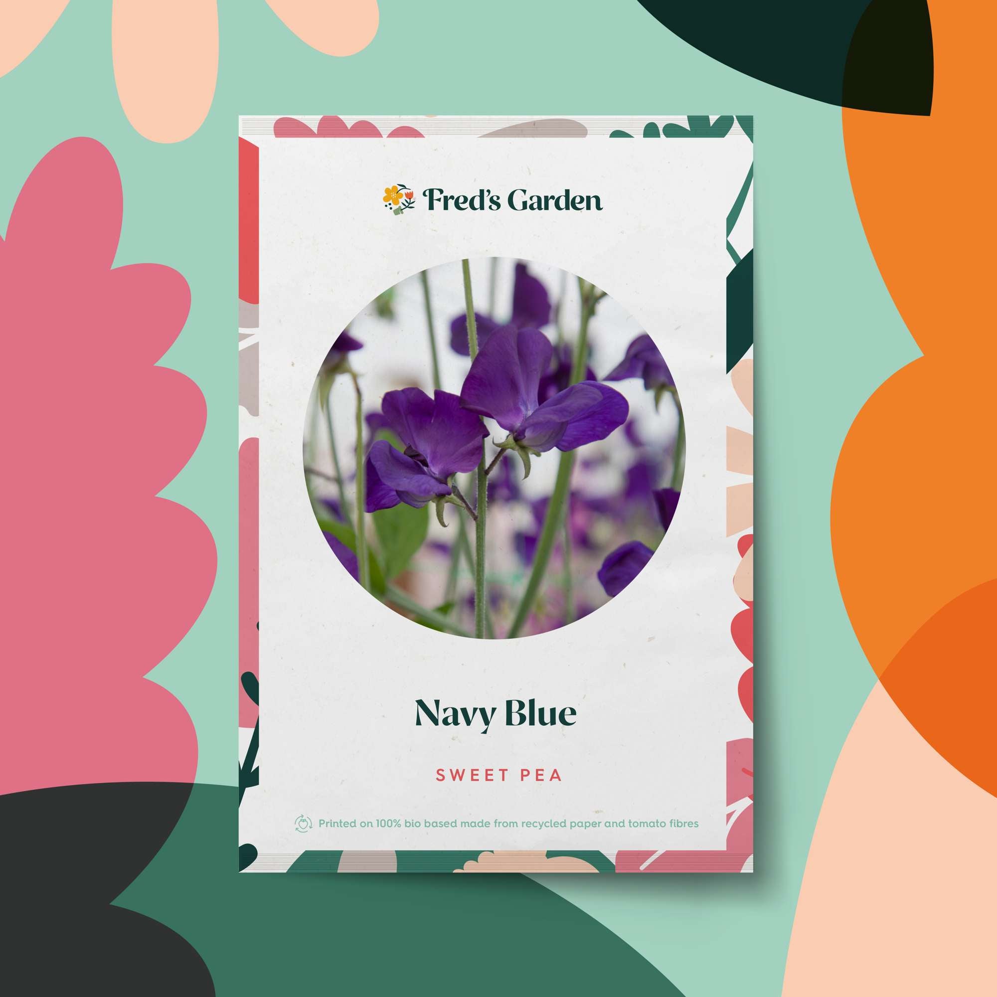 Luktärt 'Royal Navy Blue' (frö)